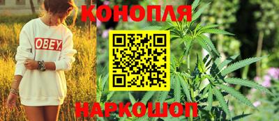 ПСИЛОЦИБИНОВЫЕ ГРИБЫ Камышлов